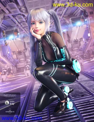 3D打印模型dp2007_nb238220_w330_h429_x的图片