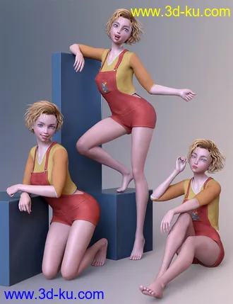 3D打印模型dp2007_nb238222_w330_h429_x的图片