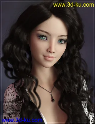 3D打印模型dp2011_nb238250_w330_h429_x的图片