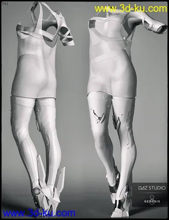 3D打印模型dp2012_nb238257_w330_h429_x的图片