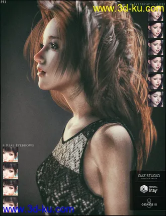 3D打印模型dp2012_nb238259_w330_h429_x的图片