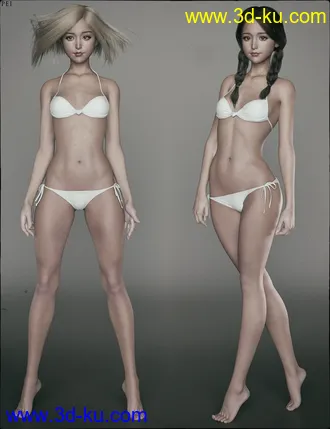 3D打印模型dp2012_nb238260_w330_h429_x的图片