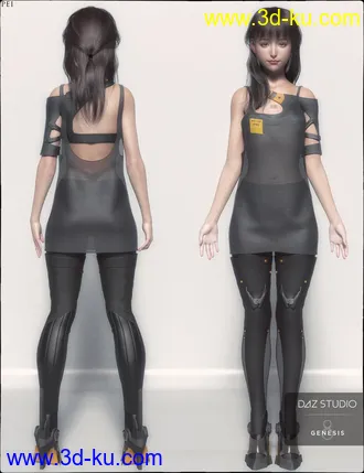 3D打印模型dp2012_nb238265_w330_h429_x的图片