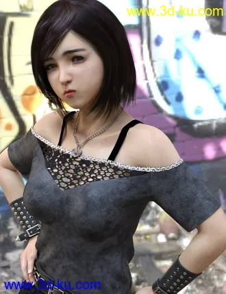 3D打印模型dp2017_nb238287_w330_h429_x的图片