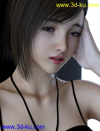 3D打印模型dp2017_nb238291_w330_h429_x的图片