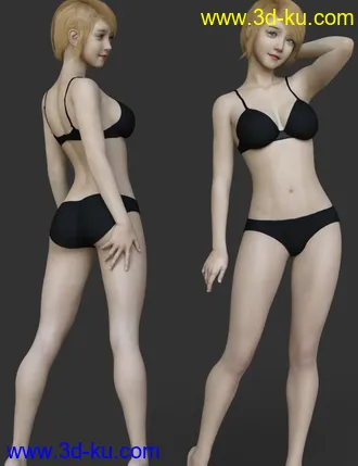 3D打印模型dp2019_nb238298_w330_h429_x的图片