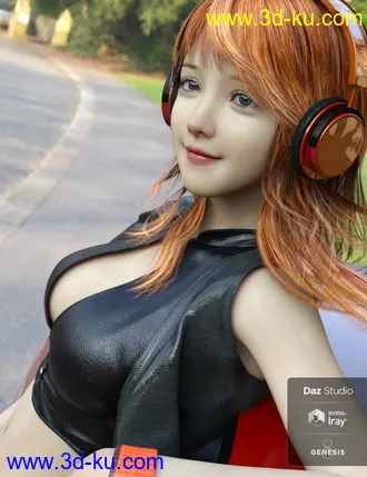 3D打印模型dp2019_nb238306_w330_h429_x的图片