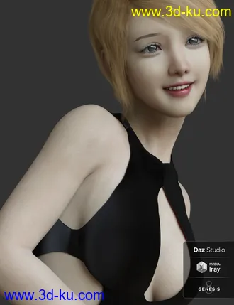 3D打印模型dp2019_nb238307_w330_h429_x的图片