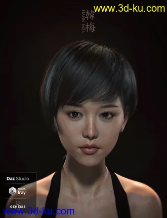 3D打印模型dp2025_nb238327_w330_h429_x的图片