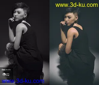 3D打印模型dp2025_nb238328_w330_h286_x的图片