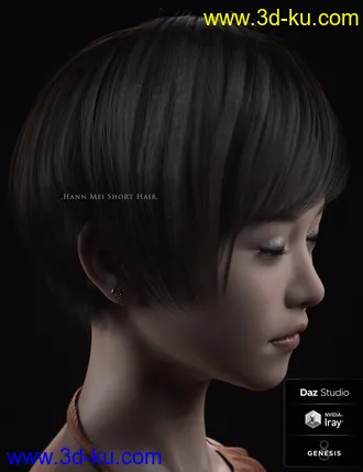 3D打印模型dp2025_nb238336_w330_h429_x的图片
