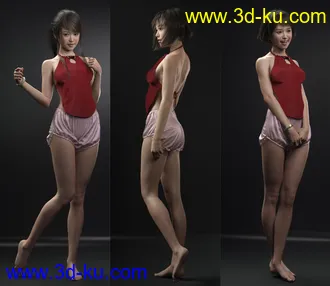 3D打印模型dp2025_nb238339_w330_h286_x的图片