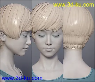 3D打印模型dp2025_nb238340_w330_h286_x的图片