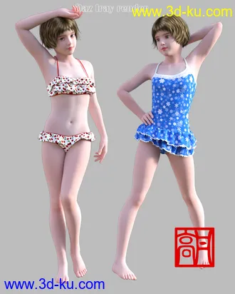 3D打印模型dp2027_nb238347_w330_h412_x的图片