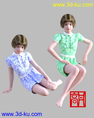 3D打印模型dp2029_nb238362_w330_h412_x的图片