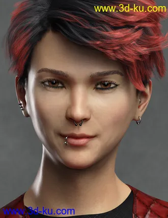 3D打印模型dp2033_nb238398_w330_h429_x的图片