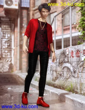 3D打印模型dp2033_nb238400_w330_h429_x的图片