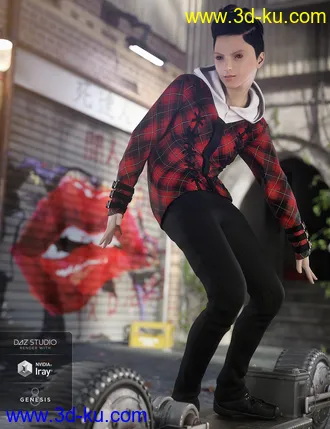 3D打印模型dp2033_nb238409_w330_h429_x的图片