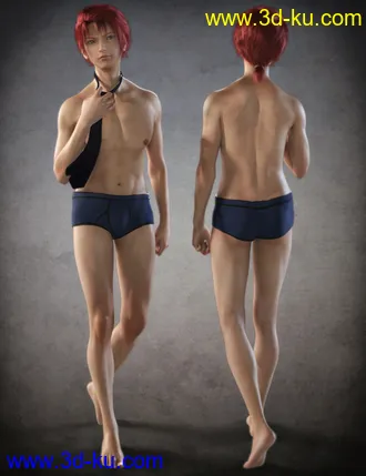 3D打印模型dp2033_nb238420_w330_h429_x的图片