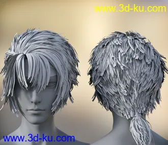 3D打印模型dp2033_nb238421_w330_h286_x的图片