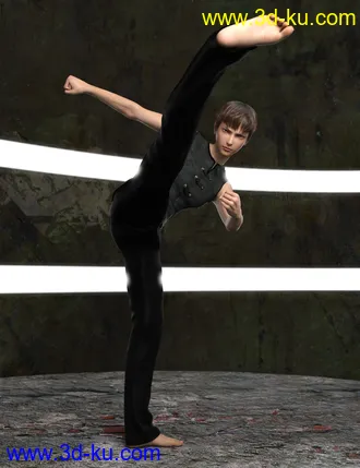3D打印模型dp2033_nb238428_w330_h429_x的图片