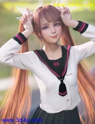 3D打印模型dp2037_nb238474_w330_h429_x的图片