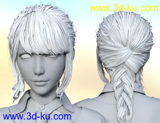 3D打印模型dp2046_nb238563_w330_h253_x的图片