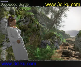 3D打印模型3D Scenery - Deepwood Gorge的图片