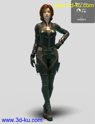 3D打印模型3RFD Suit for Genesis 8 Female的图片