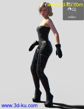 3RFD Suit for Genesis 8 Female模型的图片21