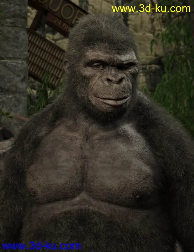 Ape World Gorilla for Genesis 8 Male模型的图片3