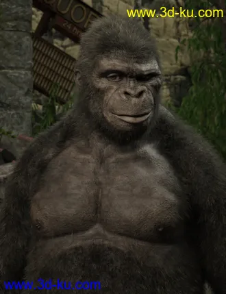 3D打印模型Ape World Gorilla for Genesis 8 Male的图片