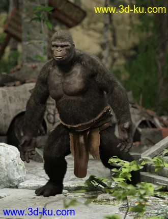 3D打印模型Ape World Gorilla for Genesis 8 Male的图片