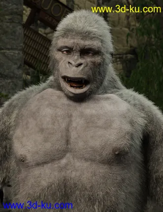 3D打印模型Ape World Gorilla for Genesis 8 Male的图片