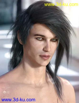 3D打印模型Bastien Hair for Genesis 3 & 8 Male(s)的图片
