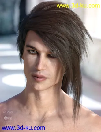 3D打印模型Bastien Hair for Genesis 3 & 8 Male(s)的图片