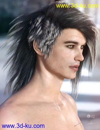 3D打印模型Bastien Hair for Genesis 3 & 8 Male(s)的图片
