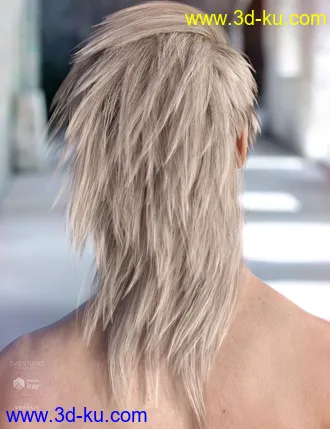 3D打印模型Bastien Hair for Genesis 3 & 8 Male(s)的图片