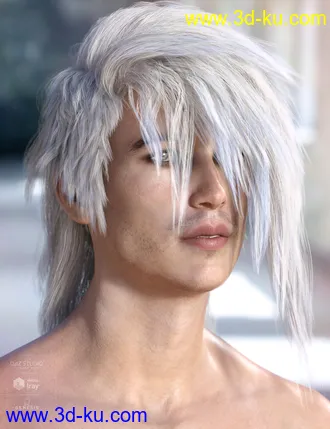 3D打印模型Bastien Hair for Genesis 3 & 8 Male(s)的图片