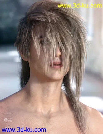 3D打印模型Bastien Hair for Genesis 3 & 8 Male(s)的图片