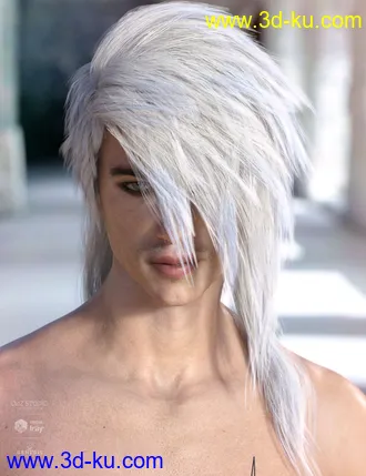 3D打印模型Bastien Hair for Genesis 3 & 8 Male(s)的图片