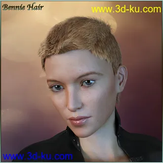 3D打印模型Bennie Hair For G3-G8 Daz的图片