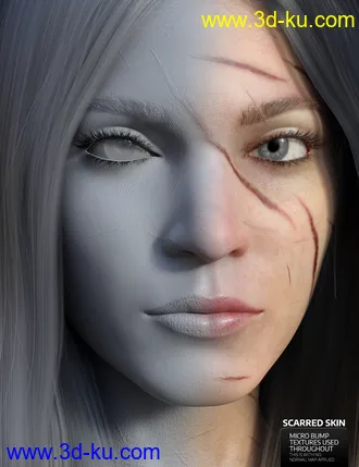 3D打印模型Bramble HD for Genesis 3 & 8 Female的图片