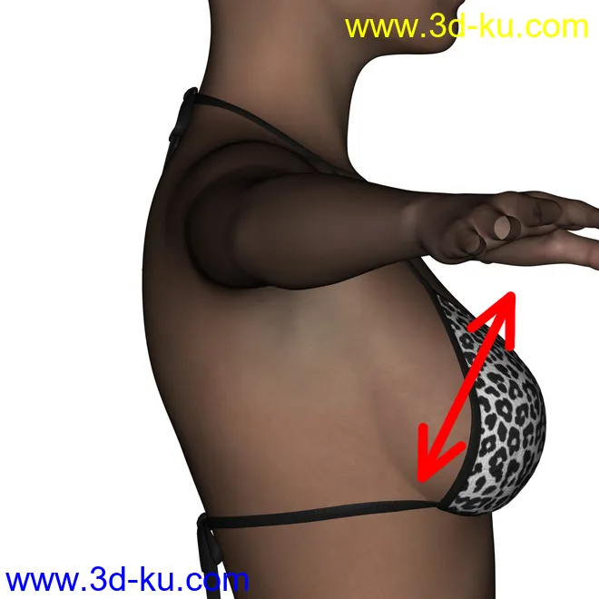 BreastJig Script for DazStudio模型的图片1