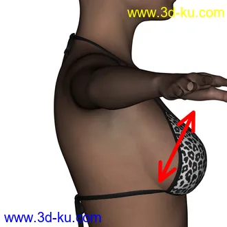 3D打印模型BreastJig Script for DazStudio的图片