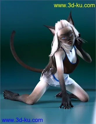 3D打印模型Catgirl Megapack for Genesis 8 Female(s)的图片
