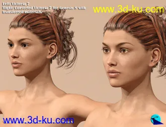 3D打印模型Character Converter from Genesis 3 Female to Genesis 8 Female的图片