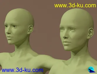 3D打印模型Character Converter from Genesis 3 Female to Genesis 8 Female的图片