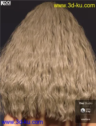 3D打印模型Cora Hair for Genesis 8 Female(s)的图片