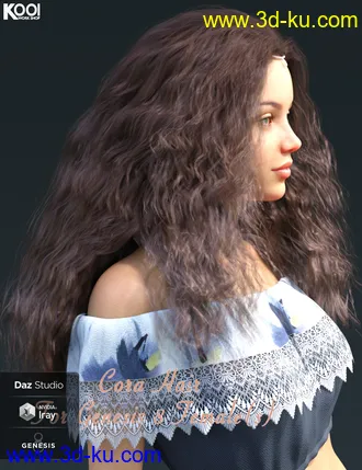 3D打印模型Cora Hair for Genesis 8 Female(s)的图片